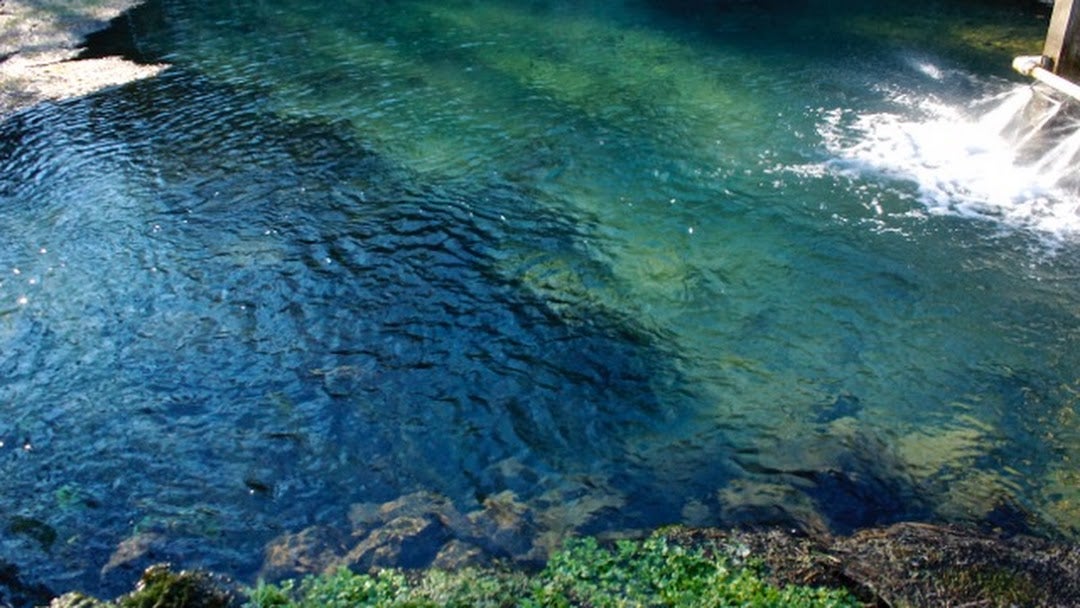 Fontis Water Delivery Service: North Georgia